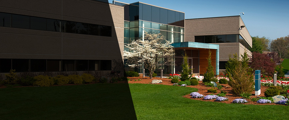 Kingsland Landscapers