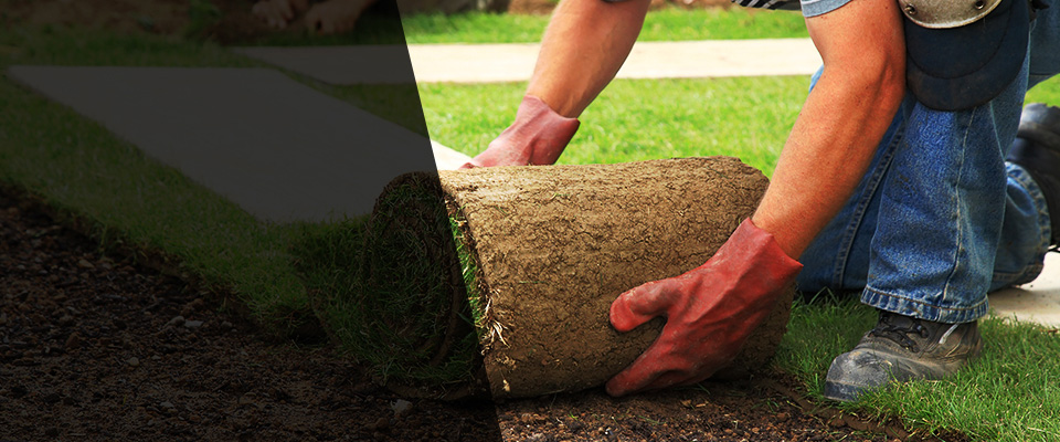 Kingsland Landscapers